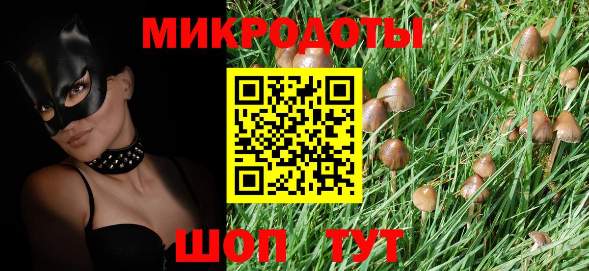 Псилоцибиновые грибы мицелий  Вход с VPN  Галлюциногенные грибы GOLDEN TEACHER  Нерюнгри 